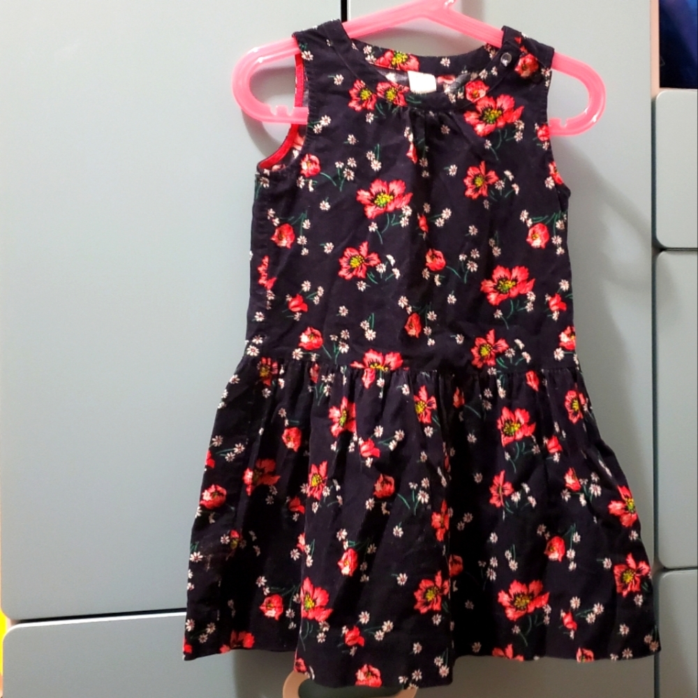 Gap Kids Size 4T Corduroy Dress with Flowers